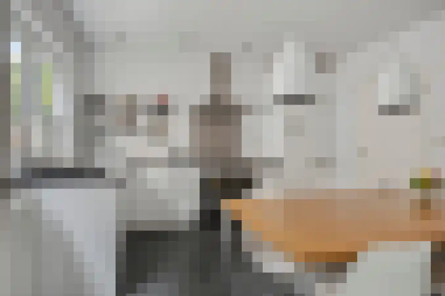 Hoofdstraat 94 De Steeg thumbnail 4
