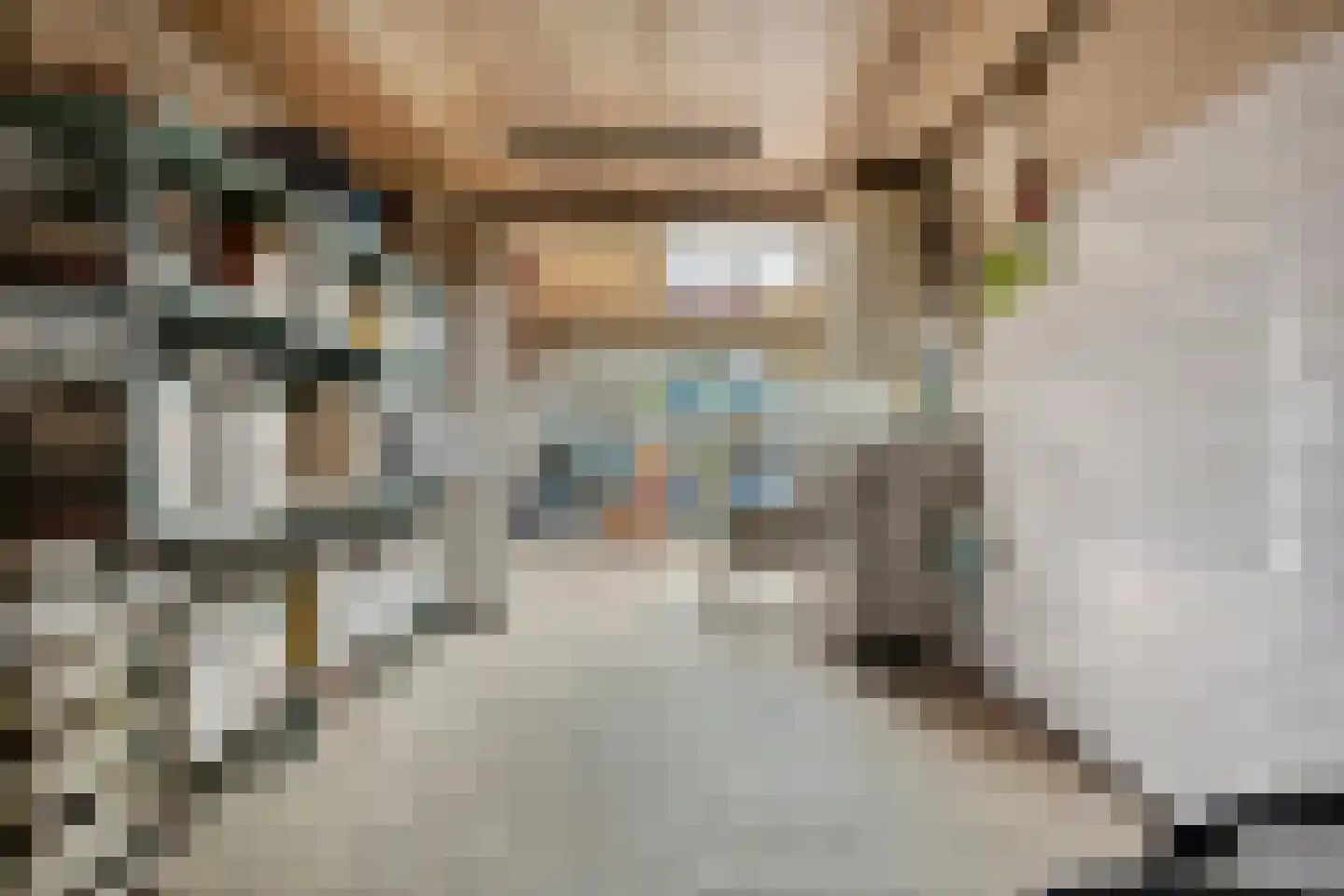 Hoofdstraat 94 De Steeg thumbnail 40