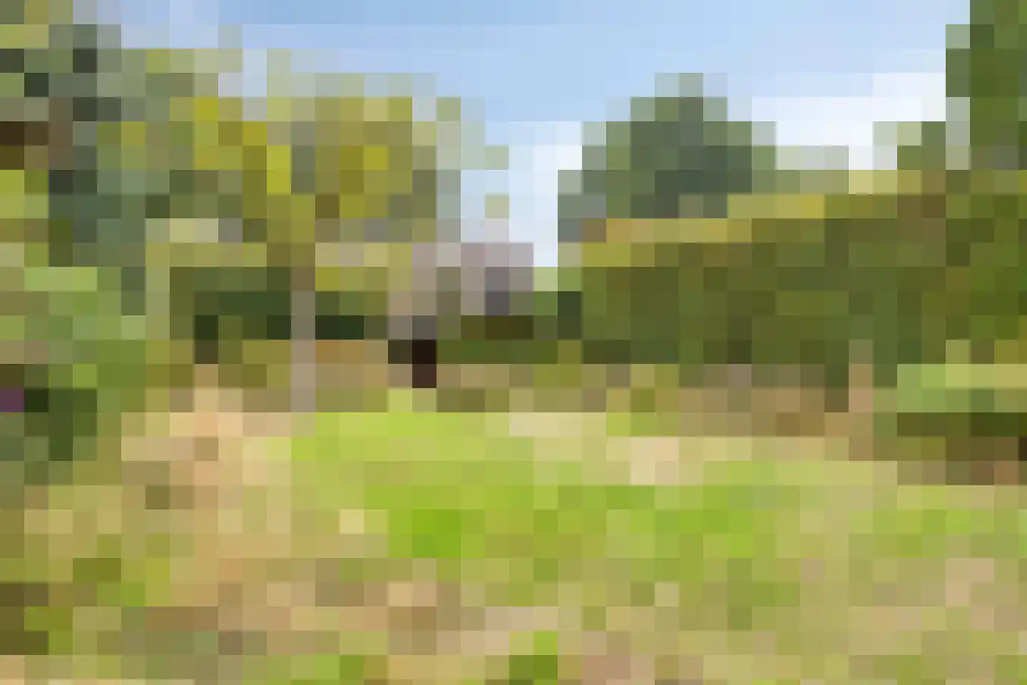 Hoofdstraat 94 De Steeg thumbnail 46
