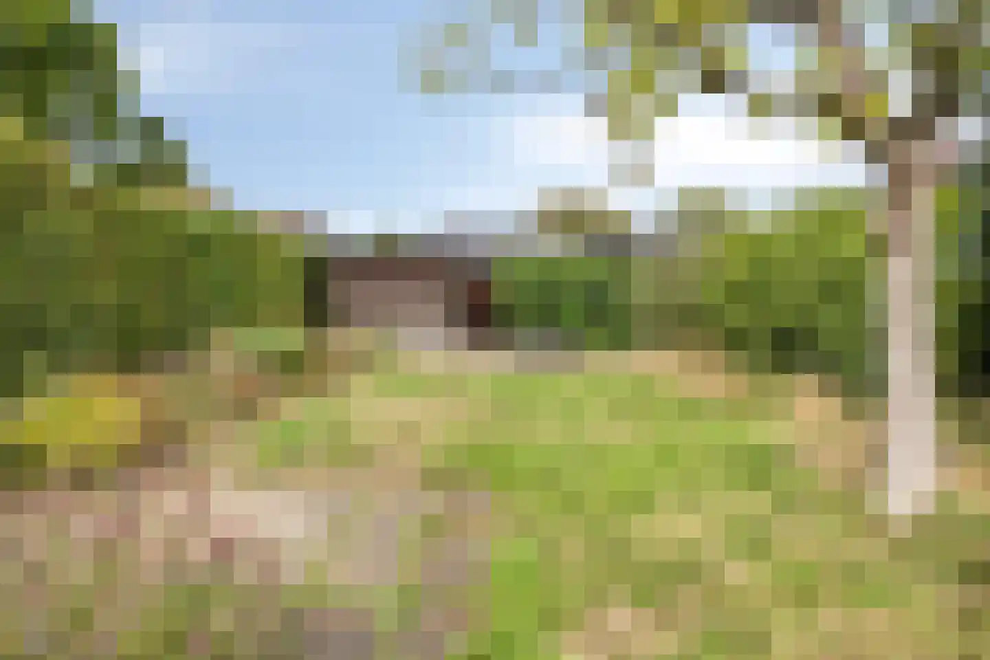 Hoofdstraat 94 De Steeg thumbnail 48