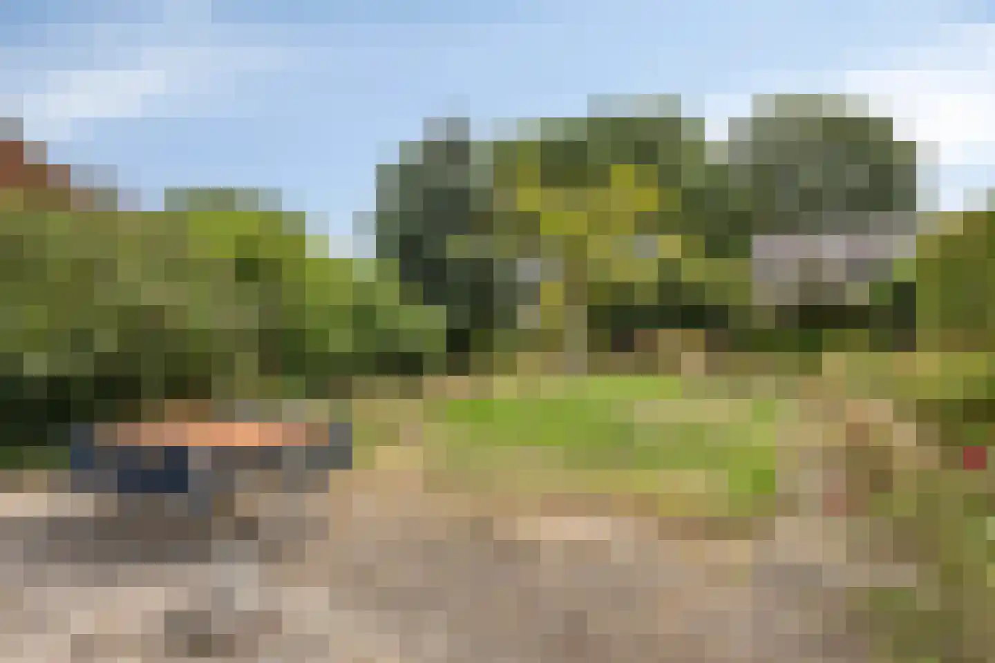 Hoofdstraat 94 De Steeg thumbnail 8