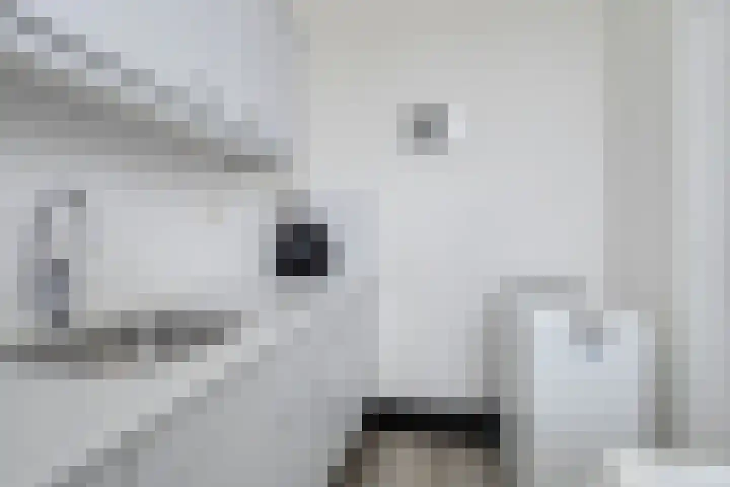 Hoofdstraat 95 Grootegast thumbnail 21