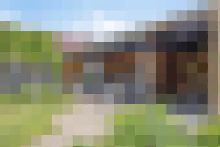 Hoofdstraat 95 Herveld thumbnail 47