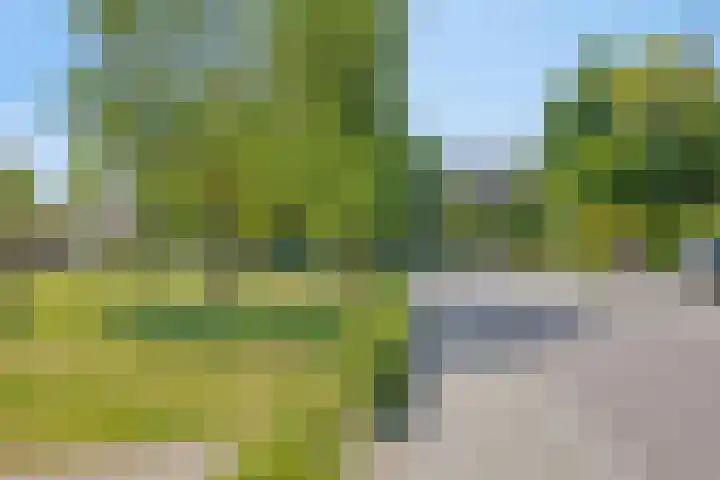 Hoofdstraat 95 Herveld thumbnail 54