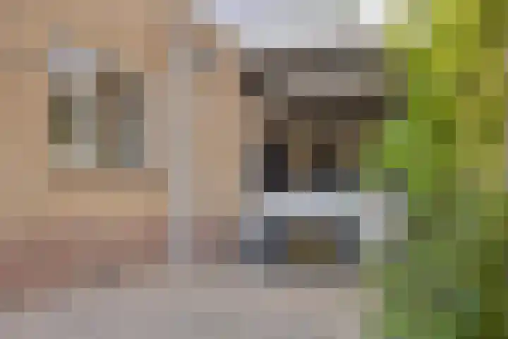 Hoofdstraat 95 Herveld thumbnail 7