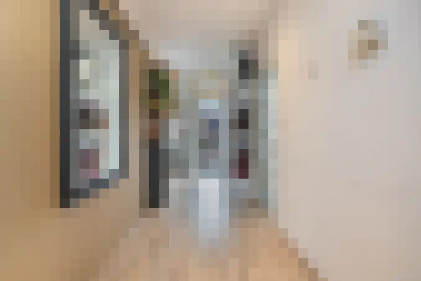 Hoofdstraat 96 Rijen thumbnail 19