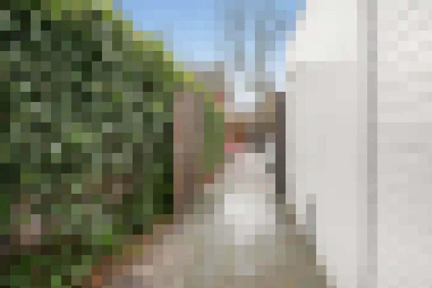 Hoofdstraat 96 Rijen thumbnail 48
