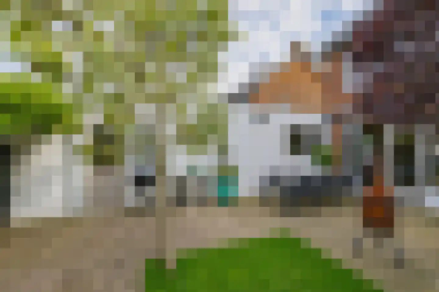 Hoofdstraat 96 Santpoort-Noord thumbnail 37