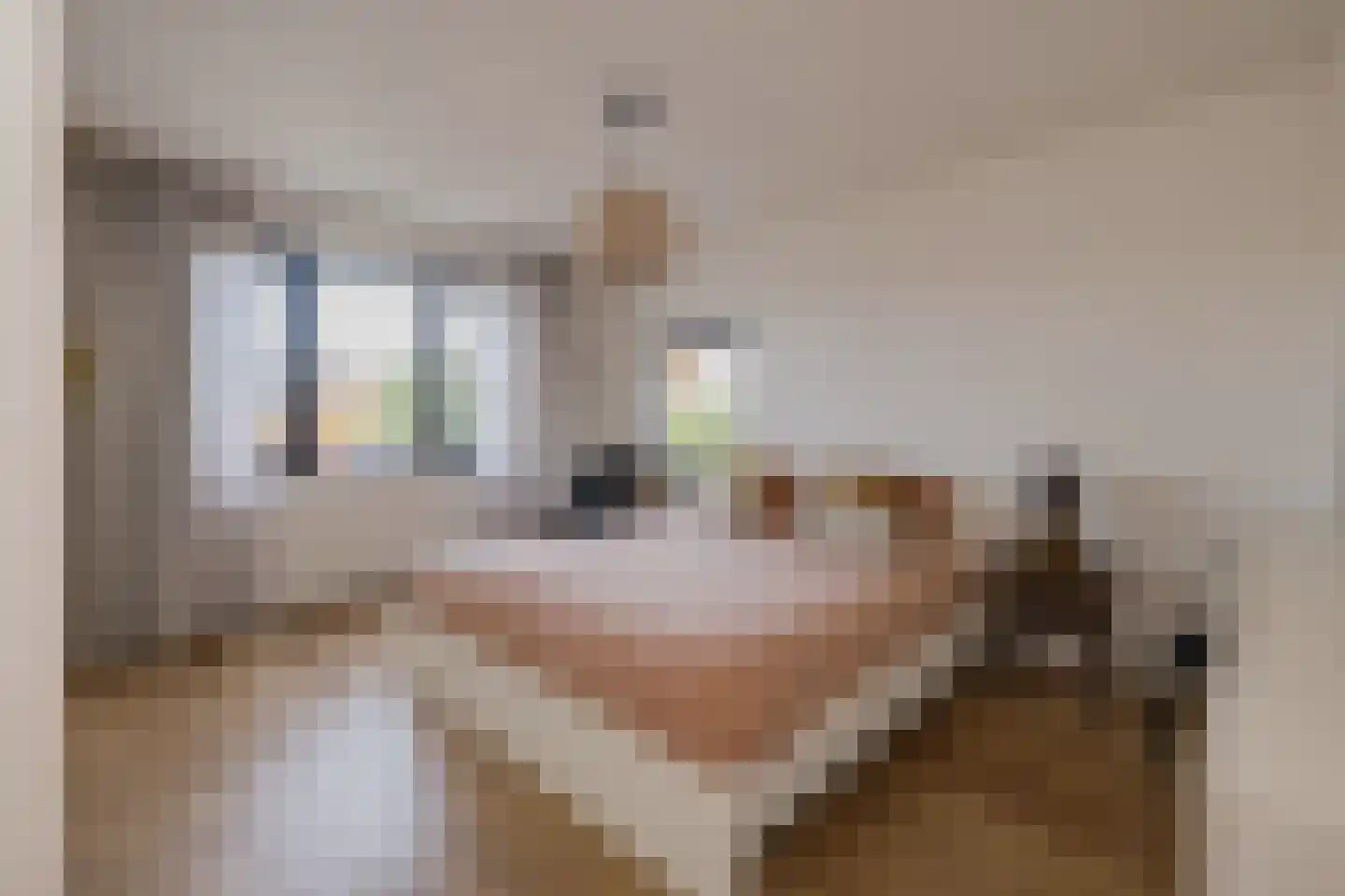 Hoofdstraat 96 Santpoort-Noord thumbnail 50