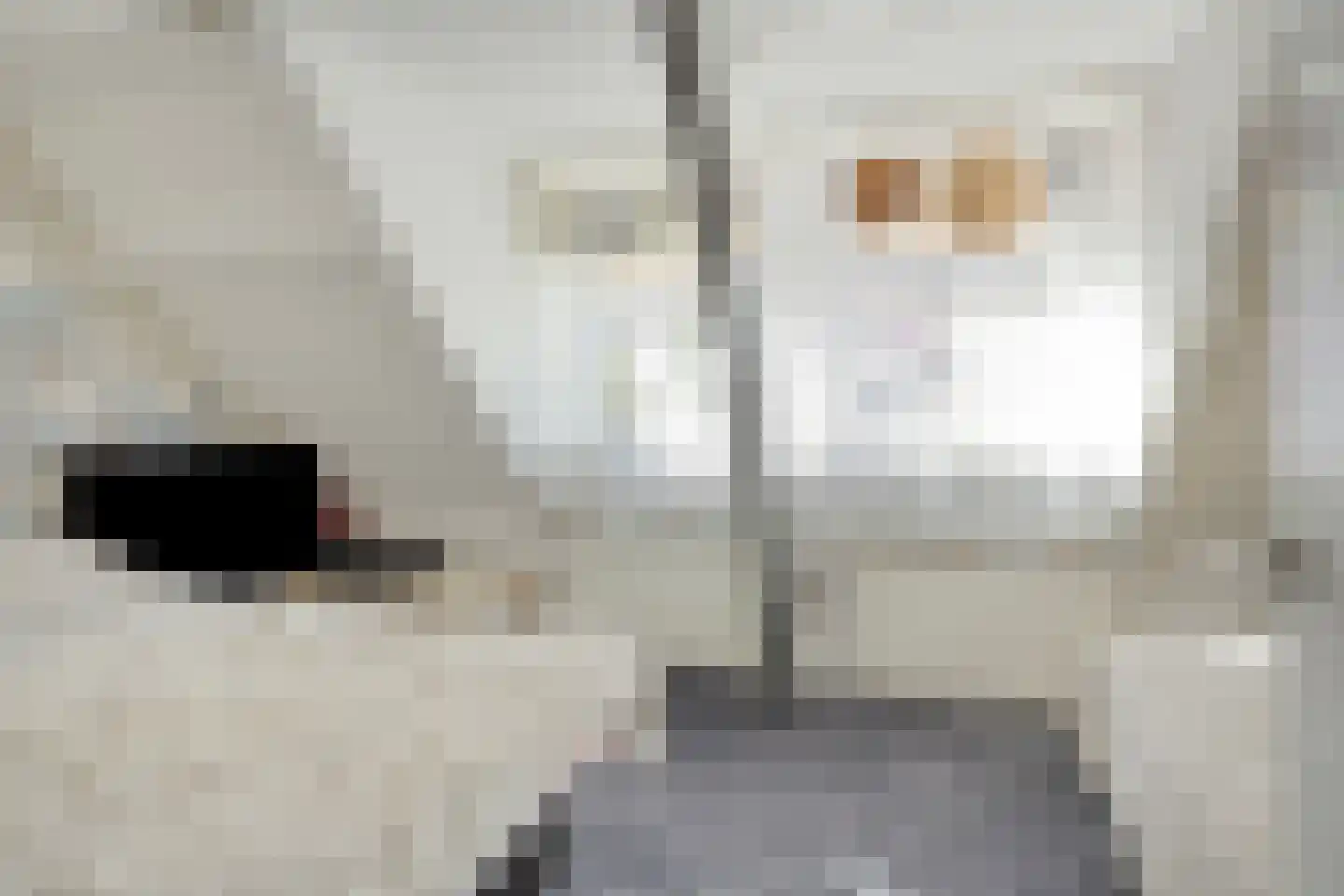 Hoofdstraat 98 Bergambacht thumbnail 15