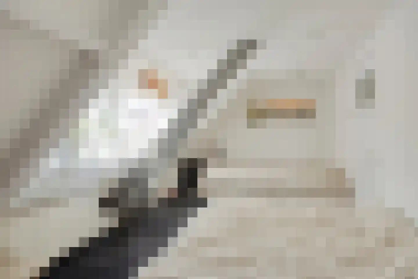 Hoofdstraat 98 Bergambacht thumbnail 17