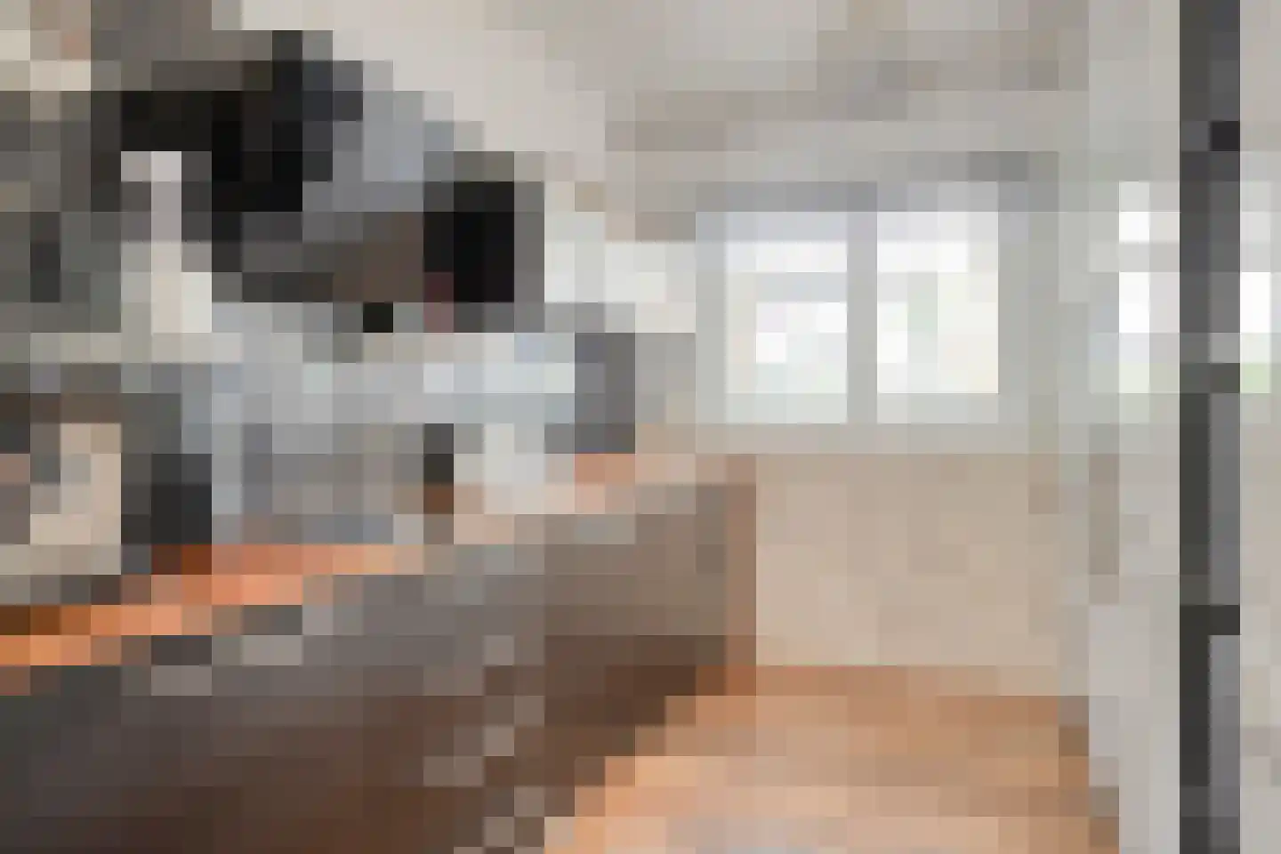 Hoofdstraat 98 Bergambacht thumbnail 6