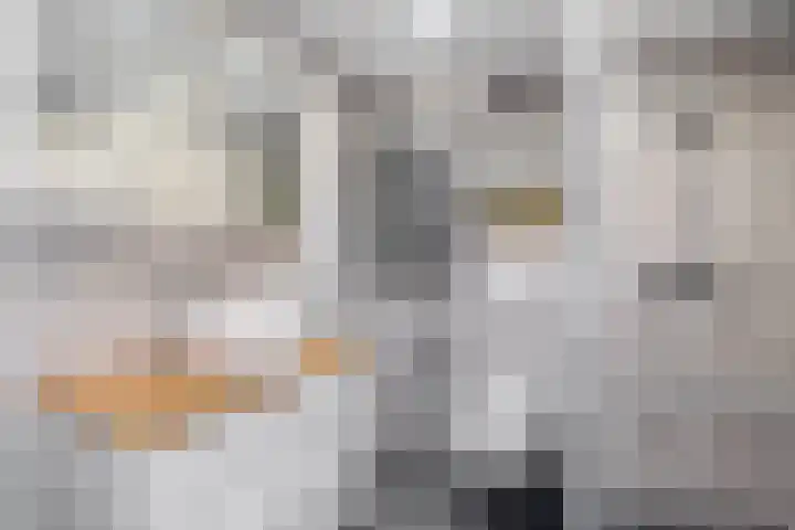 Hoofdstraat 98 Krimpen aan de Lek thumbnail 21