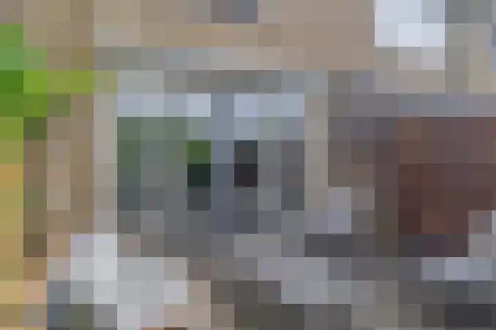 Hoofdstraat 98 Krimpen aan de Lek thumbnail 25