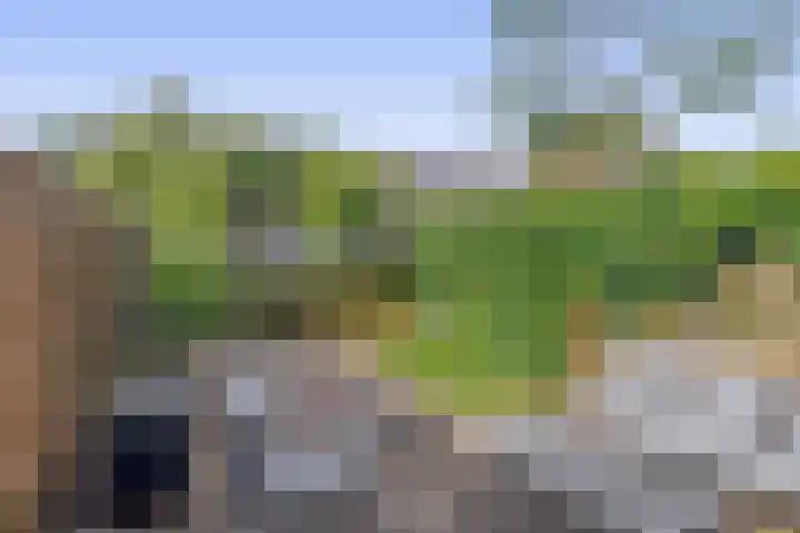 Hoofdstraat 98 Krimpen aan de Lek thumbnail 26