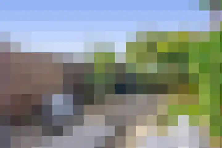 Hoofdstraat 98 Krimpen aan de Lek thumbnail 27