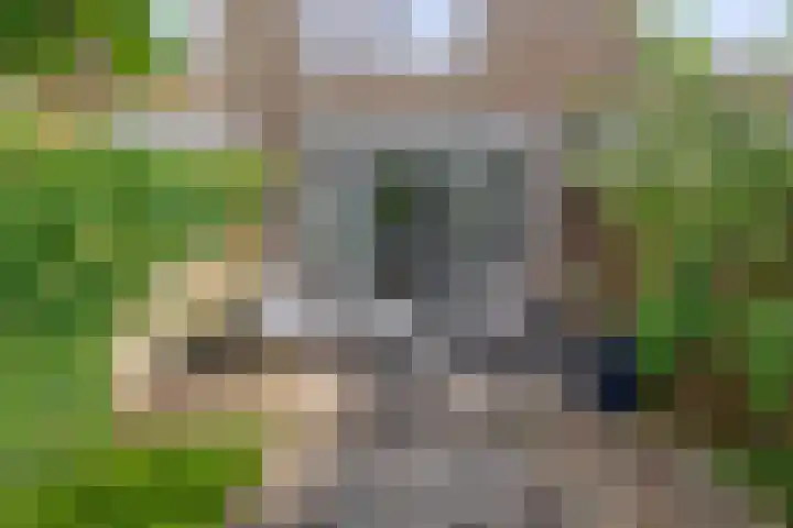 Hoofdstraat 98 Krimpen aan de Lek thumbnail 29