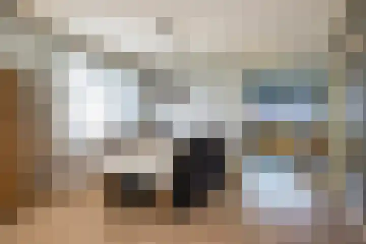 Hoofdstraat 99 Ovezande thumbnail 11