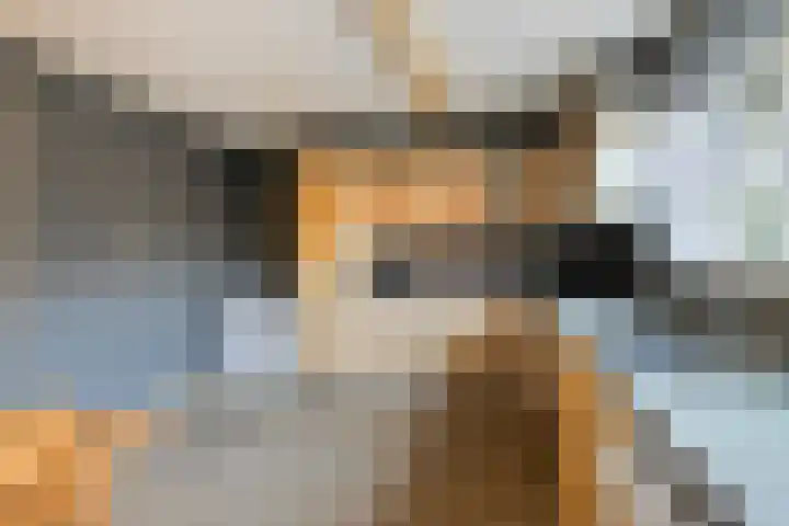 Hoofdstraat 99 Ovezande thumbnail 16