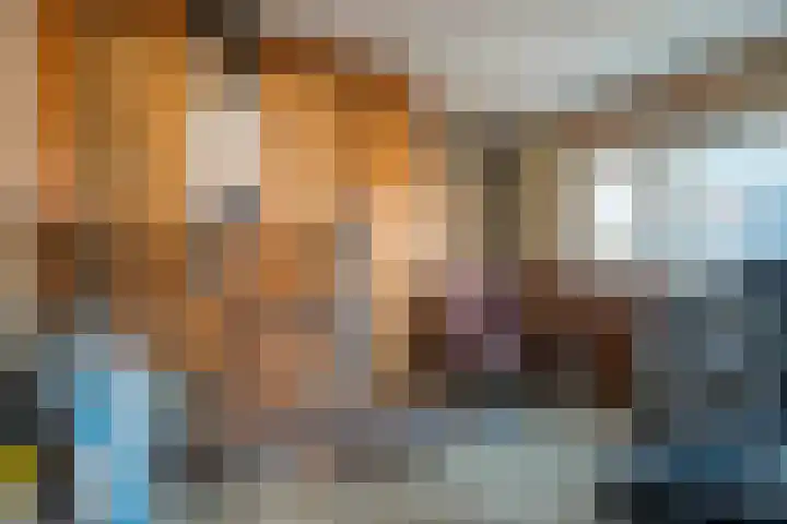 Hoofdstraat 99 Ovezande thumbnail 20