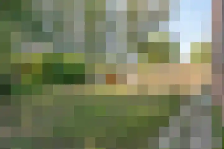 Hoofdstraat 99 Ovezande thumbnail 30