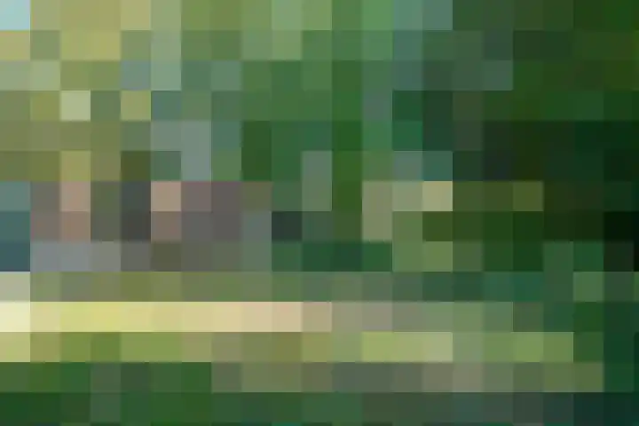 Hoofdstraat 99 Ovezande thumbnail 31