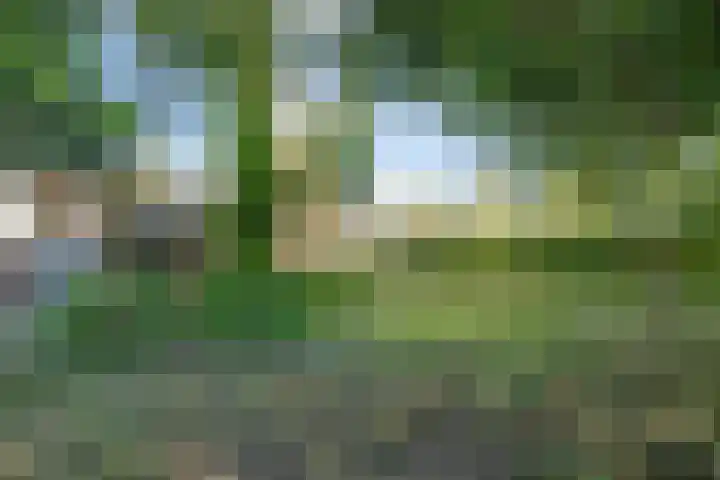 Hoofdstraat 99 Ovezande thumbnail 32