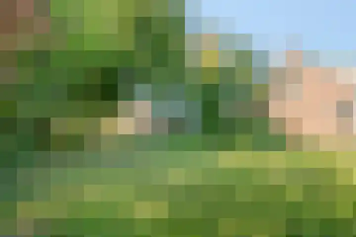 Hoofdstraat 99 Ovezande thumbnail 34