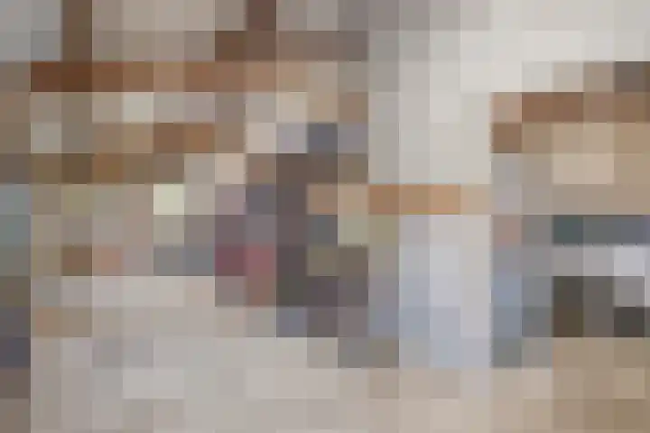 Hoofdstraat 99 Ovezande thumbnail 36