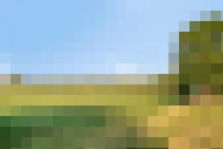 Hoofdstraat 99 Ovezande thumbnail 4