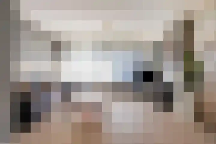 Hoofdstraat 99 Ovezande thumbnail 7