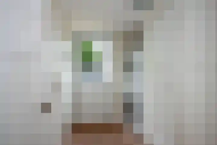 Hoofdstraat 99 Zenderen thumbnail 16