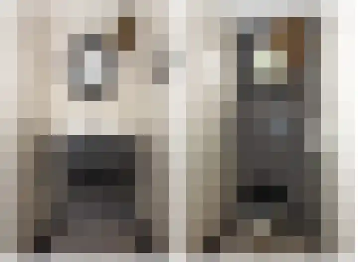 Hoofdstraat 99 Zenderen thumbnail 17