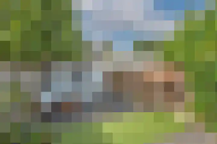Hoofdstraat 99 Zenderen thumbnail 27