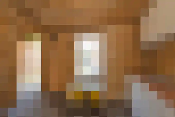 Hoofdstraat 99 Zenderen thumbnail 29