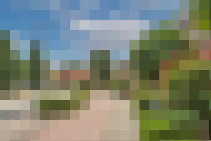 Hoofdstraat 99 Zenderen thumbnail 32