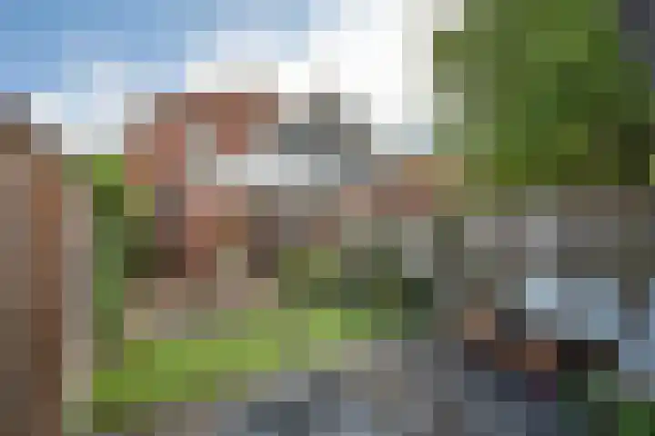 Hoofdstraat 99 Zenderen thumbnail 4