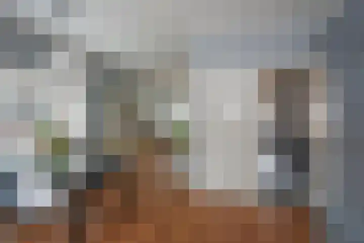 Hoofdstraat 99 Zenderen thumbnail 8