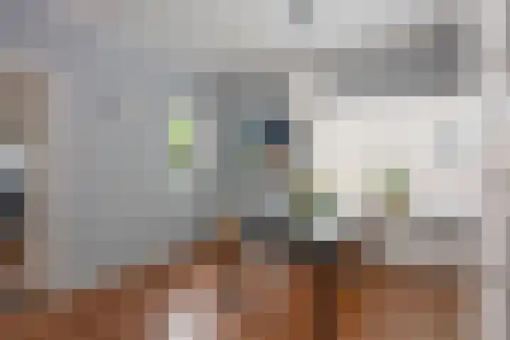 Hoofdstraat 99 Zenderen thumbnail 9