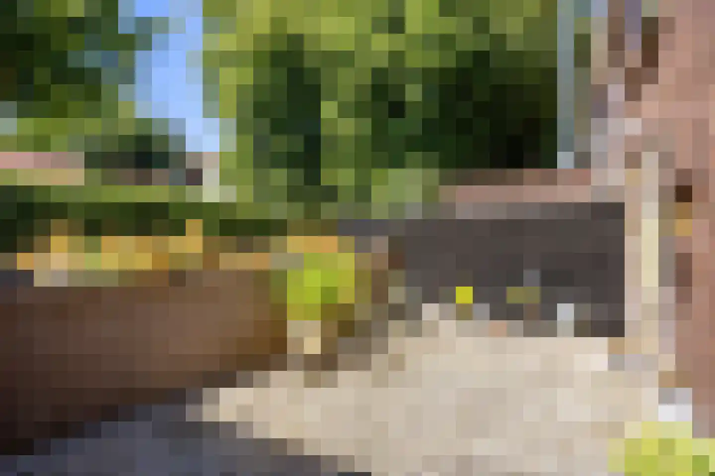 Hoofdstraat O 15 Winsum thumbnail 33