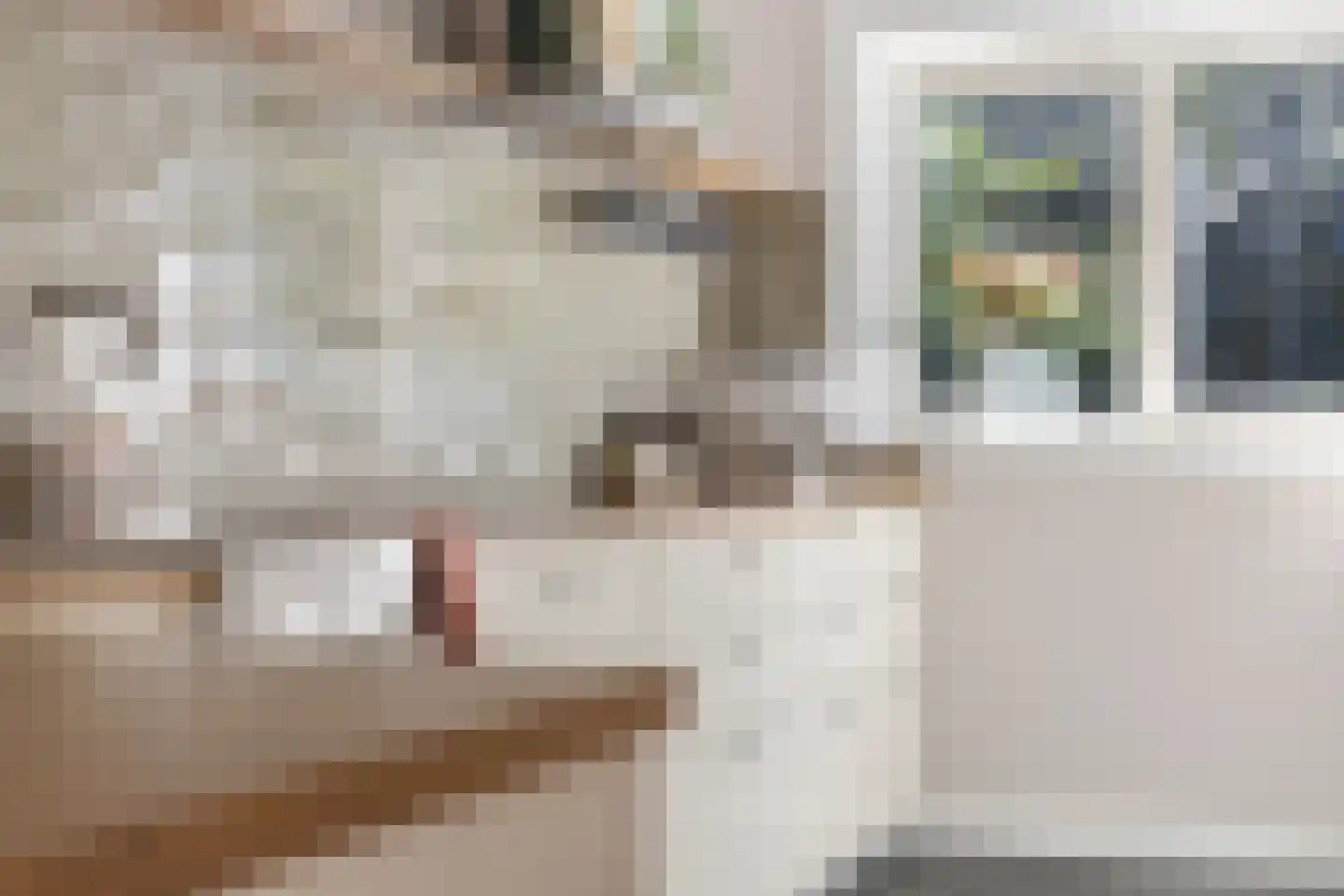 Hoofdstraat-Oost 14 Uithuizen thumbnail 26