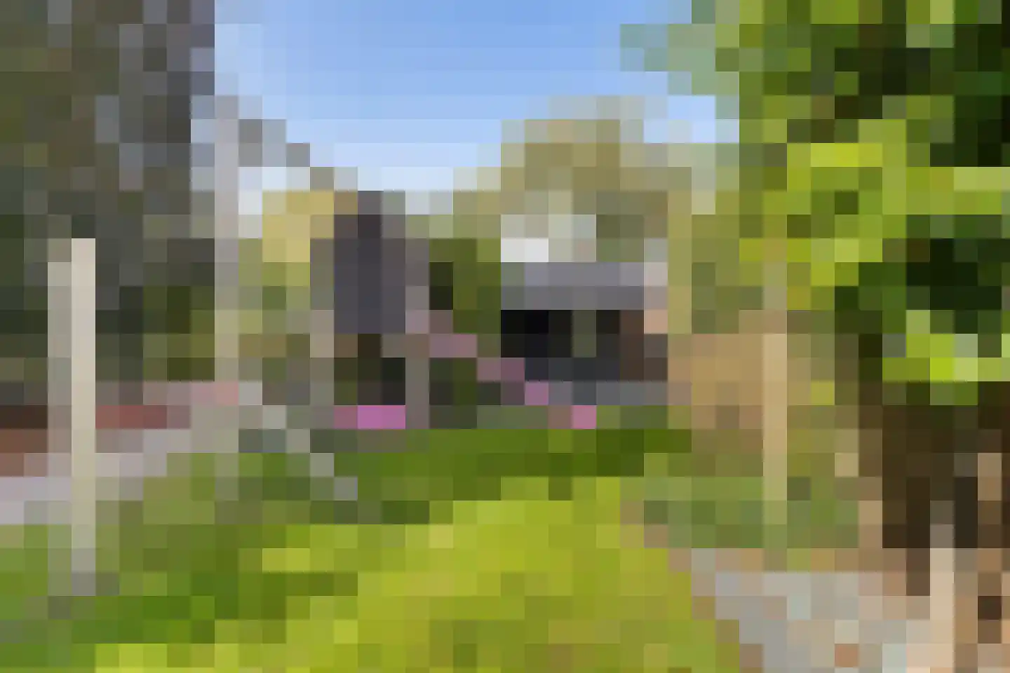 Hoofdstraat-Oost 14 Uithuizen thumbnail 45