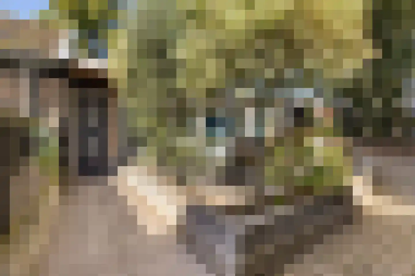 Hoofdstraat-Oost 14 Uithuizen thumbnail 48