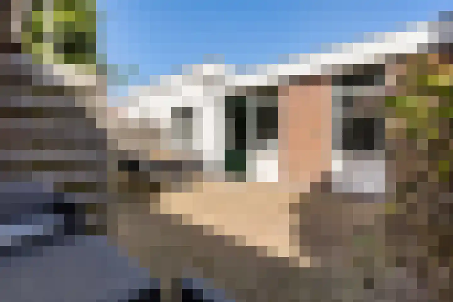 Hoofdstraat-Oost 14 Uithuizen thumbnail 62