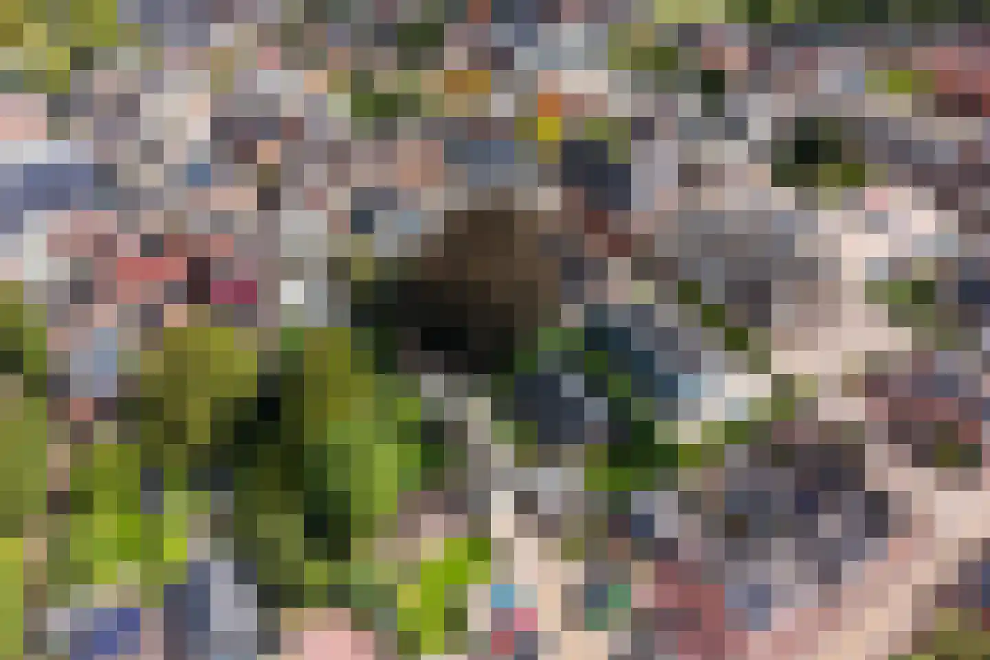 Hoofdstraat-Oost 14 Uithuizen thumbnail 64