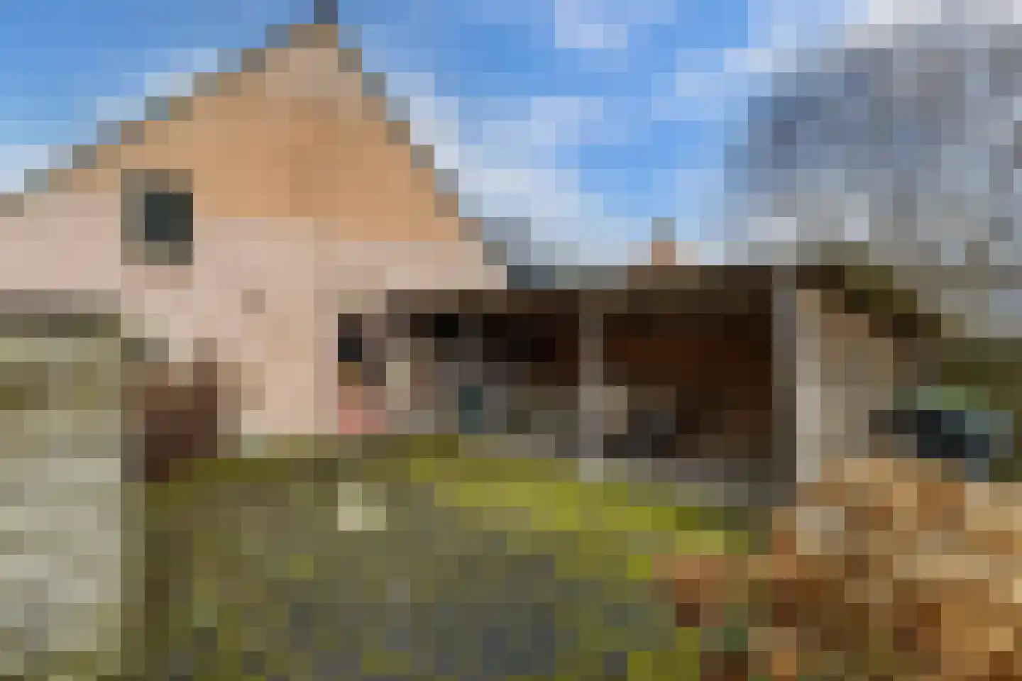 Hoofdstraat Oost 38 Noordwolde thumbnail 35