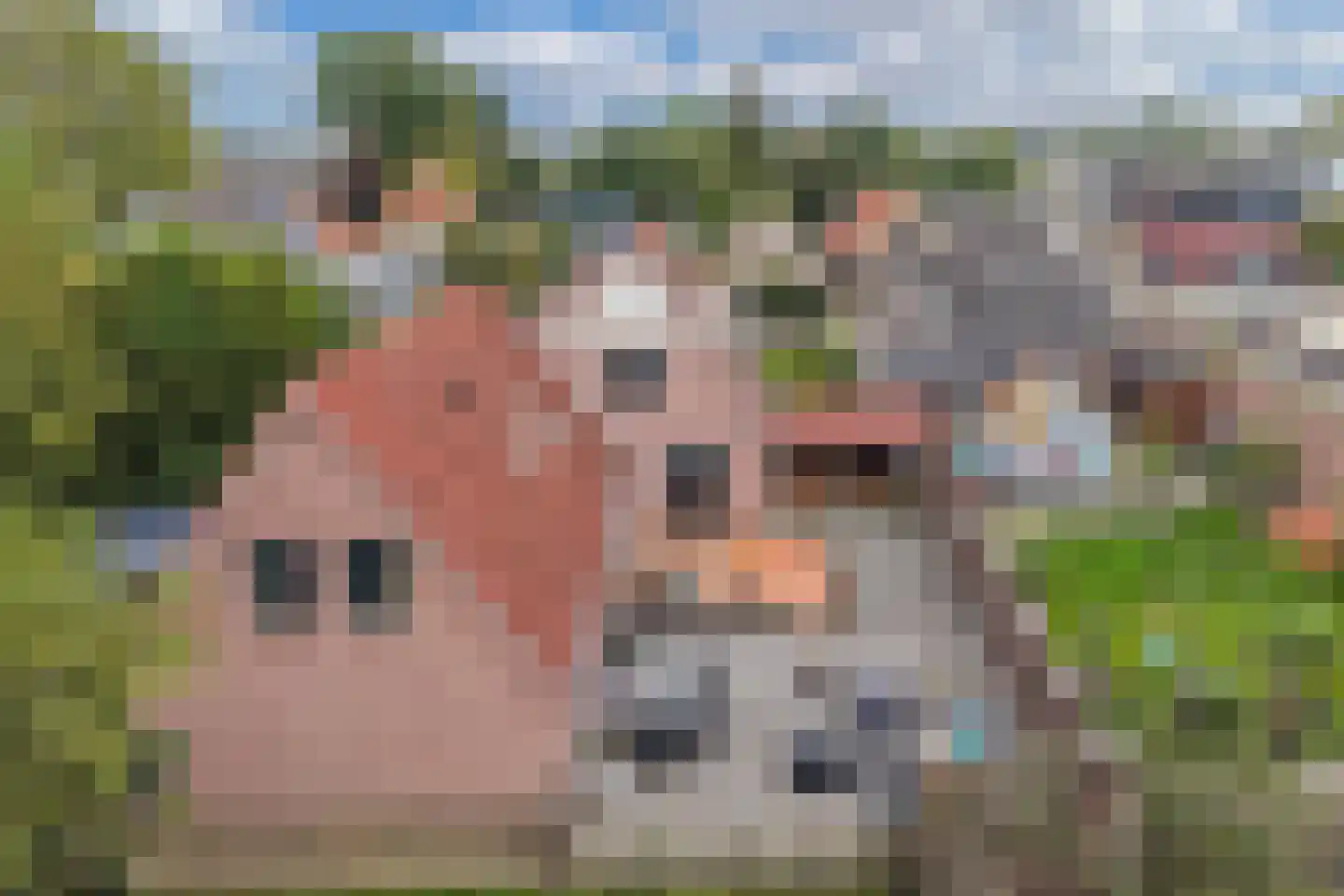 Hoofdstraat Oost 41 A Noordwolde thumbnail 55