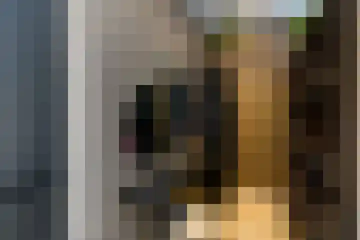Hoofdstraat Oost 44 Wolvega thumbnail 17