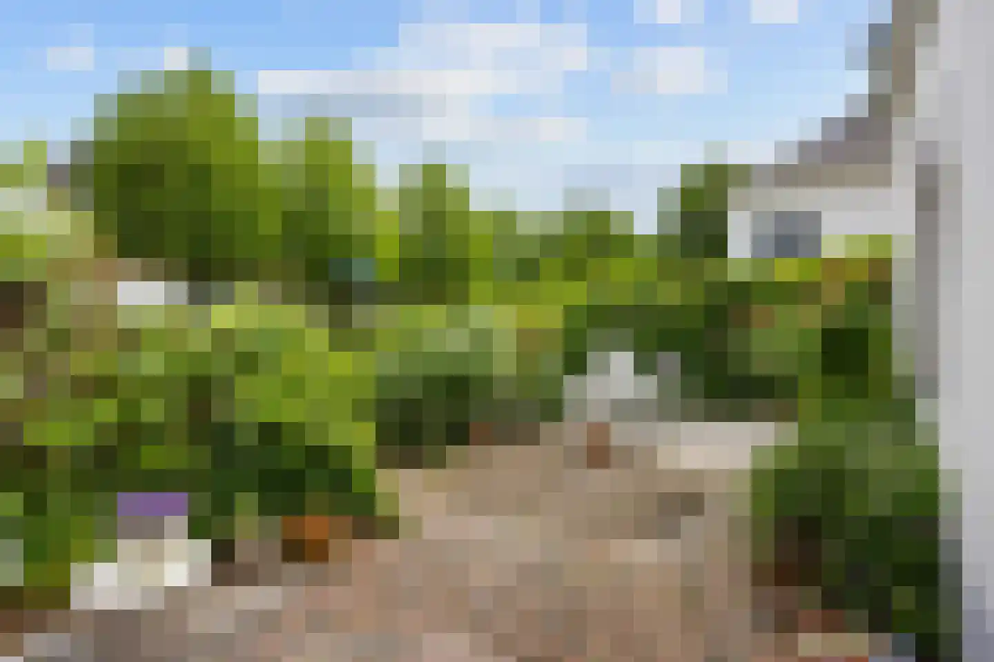 Hoofdstraat W 56 Winsum thumbnail 41