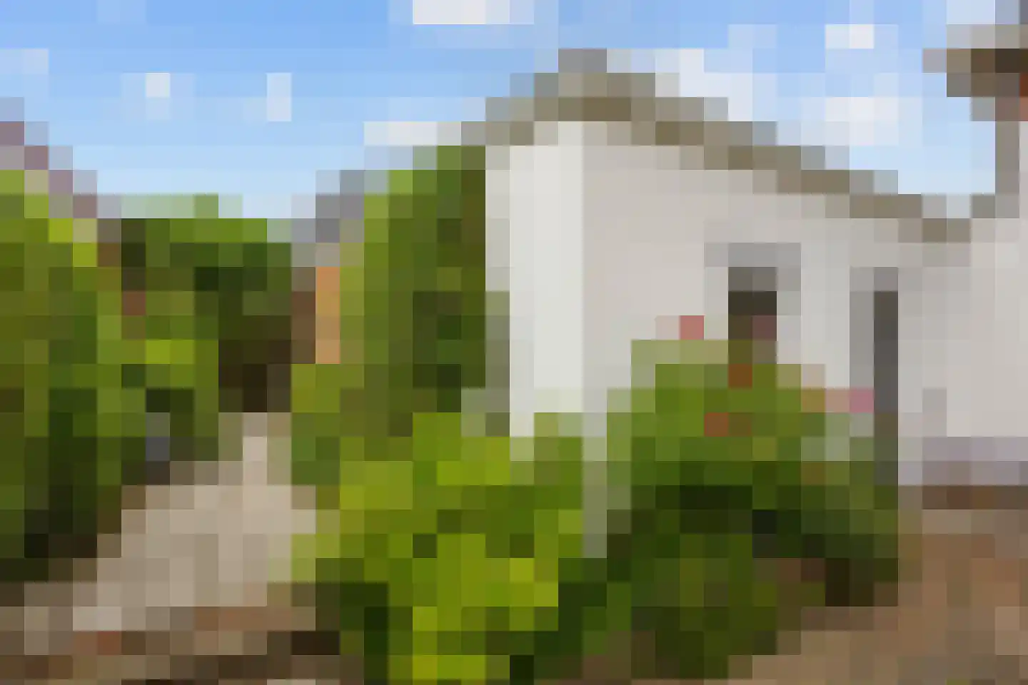 Hoofdstraat W 56 Winsum thumbnail 44